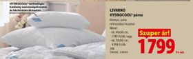LIVARNO HYDROCOOL® párna – Lidl