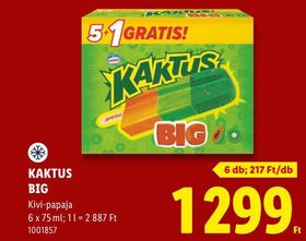 KAKTUS BIG – Lidl